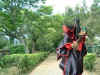a03.JPG (49844 Ӧ줸)