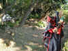 a10.JPG (52352 Ӧ줸)