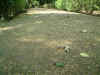 b04.JPG (58281 Ӧ줸)