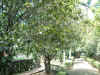 b05.JPG (75497 Ӧ줸)