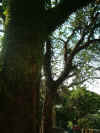 b06.JPG (50566 Ӧ줸)
