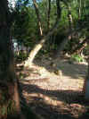 b09.JPG (57020 Ӧ줸)
